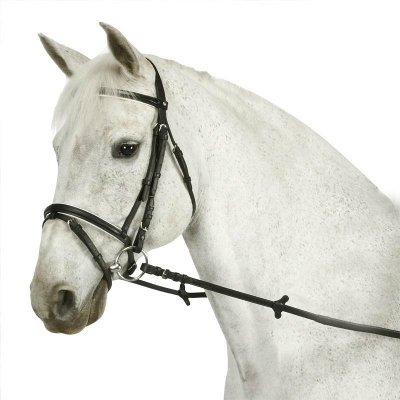 Амуниция для лошади